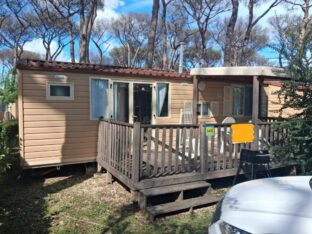 IMG-20250925-WA0009 - CopiaAEANCIONE