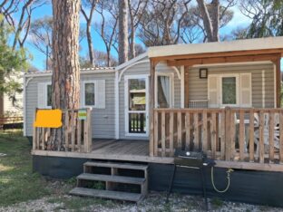 IMG-20250925-WA0054 - CopiaARANCIONE